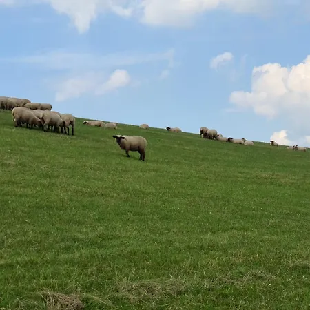 Seeschwalbe B Lägenhet *