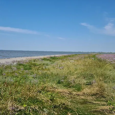 Seeschwalbe B Lägenhet Sehestedt (Lower-Saxony)