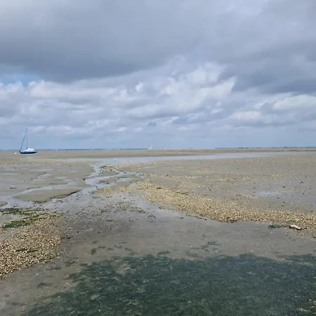 Seeschwalbe B Lägenhet *