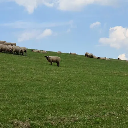 Seeschwalbe B Lejlighed