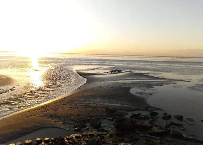 Apartman Seeschwalbe B *