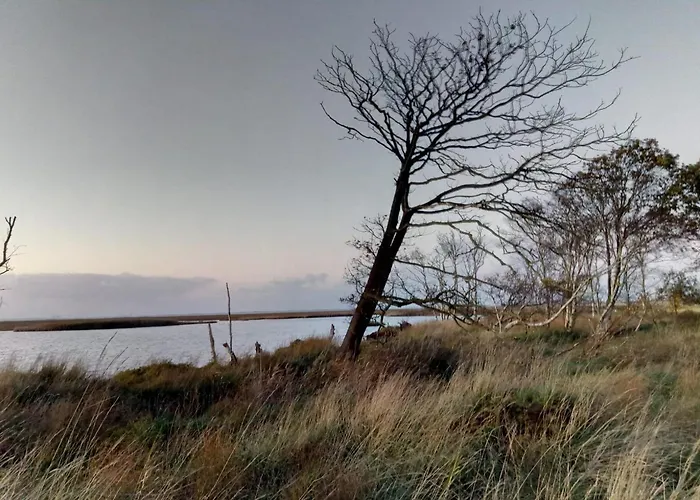 Apartman Seeschwalbe B *