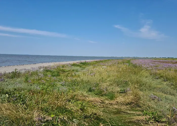 Seeschwalbe B Apartman Sehestedt