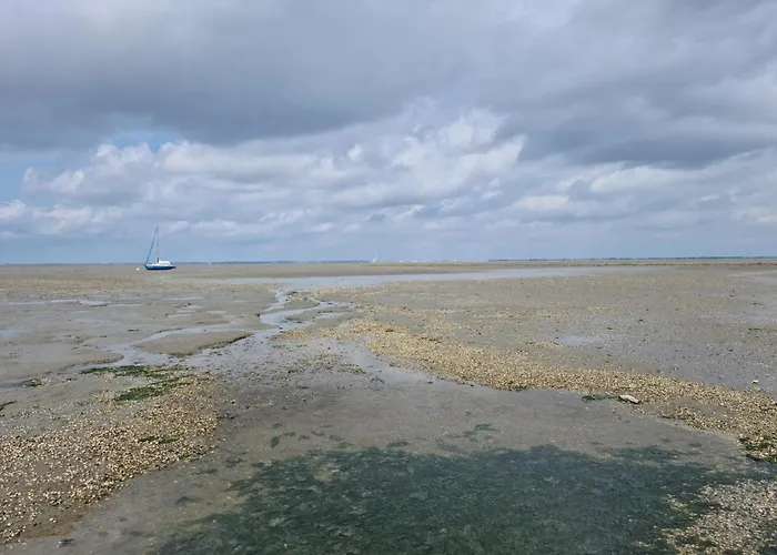 Seeschwalbe B Apartman *