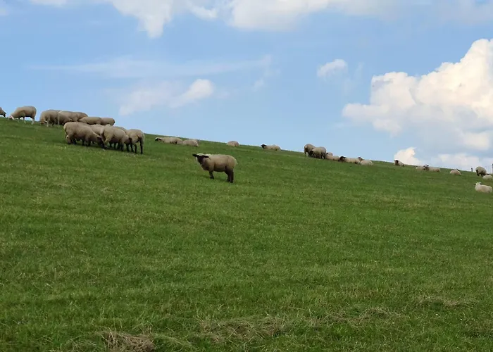 Seeschwalbe B Apartman